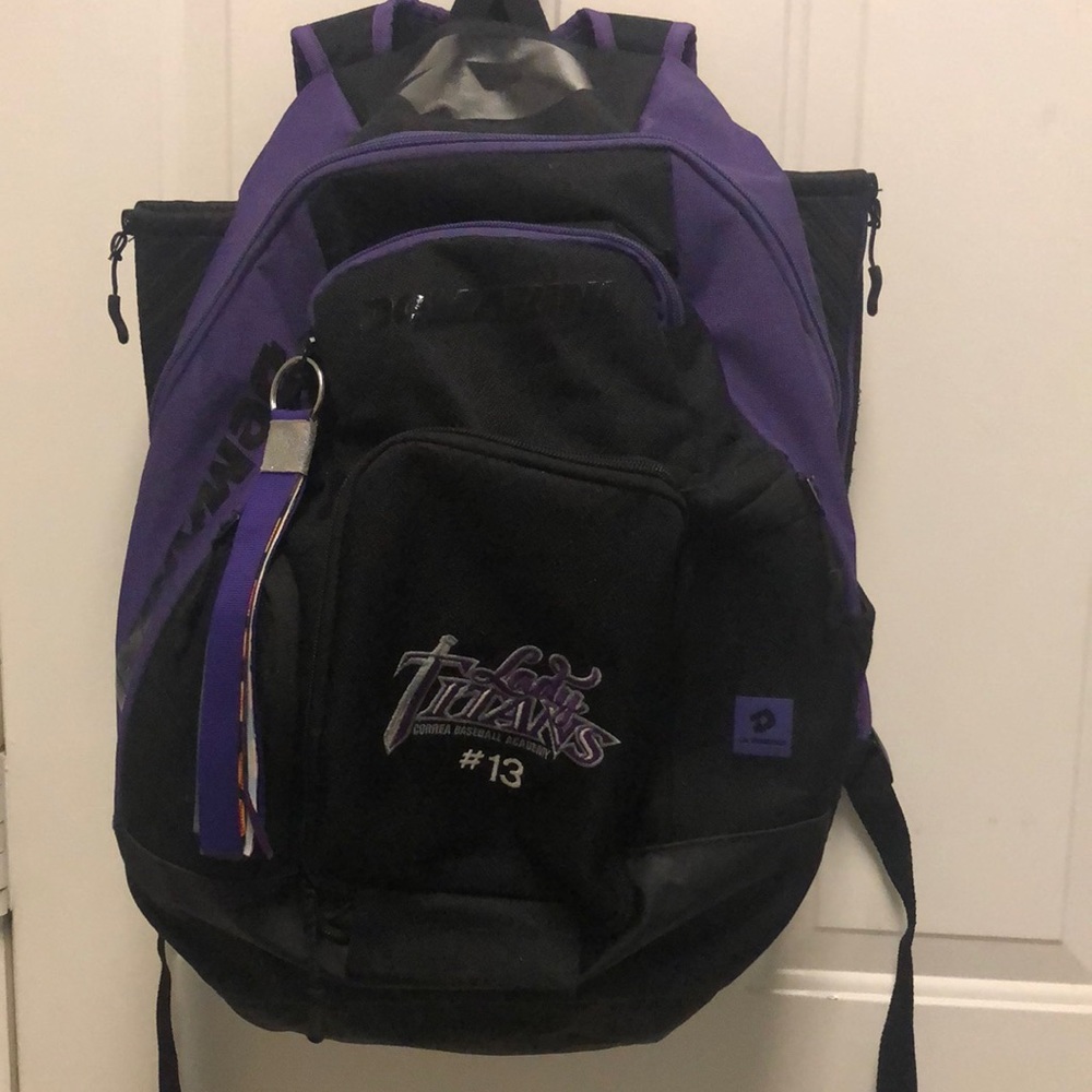 Demarini voodoo bat bag.